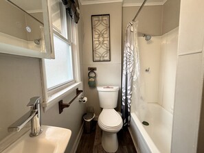 Combined shower/tub, hair dryer, towels - Gem house in the Pittsburgh suburbs (Pittsburgh)