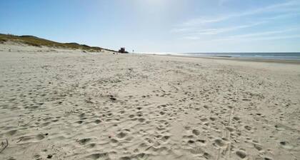 Apartment in North Holland near Beach