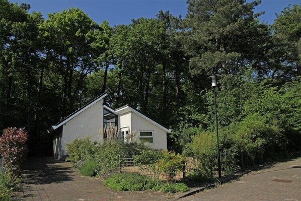 Une maison moderne, dotée d’un toit en pente, entourée d’une végétation luxuriante et d’arbres.