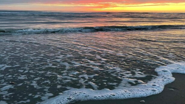 Une plage où les vagues viennent doucement lécher le rivage.