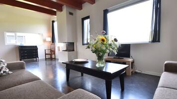 Télévision, cheminée, chaßne hi-fi