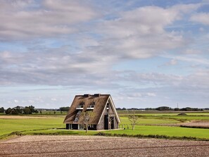 Eksteriør