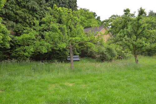 Relax, Explore, and Dine in Aalten