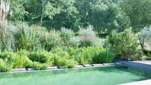 A swimming pool surrounded by lush greenery and various plants. - Idyllic Country Cottage with Forest (Covas)