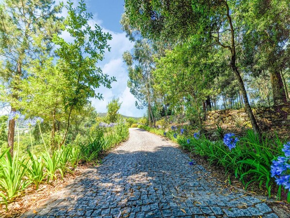 Property grounds - Villa with Pool near Douro Valley (Penafiel)