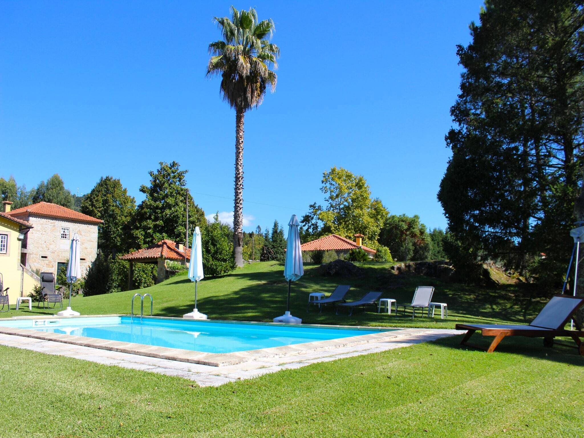 Un área de piscina con cielo azul despejado, una palmera y un edificio con techo rojo.