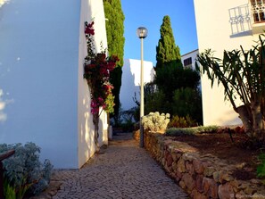 المنطقة المحيطة بالمنشأة