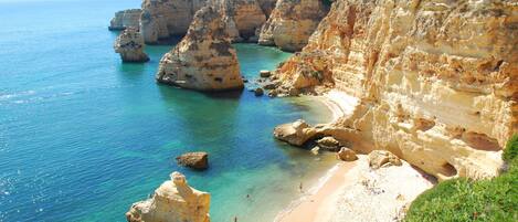 بالقرب من الشاطئ