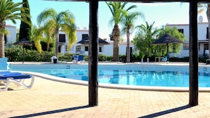 Zona de piscina con sillas de descanso, palmeras y un edificio al fondo.