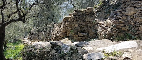 Terrain de lâhĂ©bergement