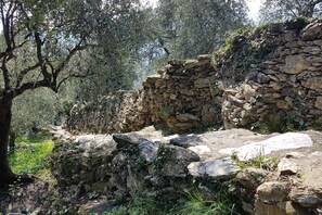 Overnatningsstedets område