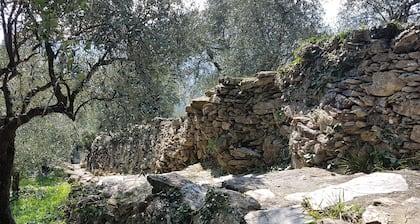 Séjour paisible dans une villa à Rapallo
