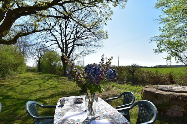 A table with chairs and a vase of flowers in a garden setting.