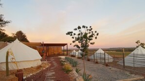 Un camping con tiendas de campaña, una estructura de madera y un árbol.