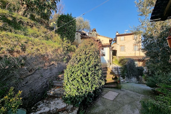 A garden with a stone pathway leading to a building.