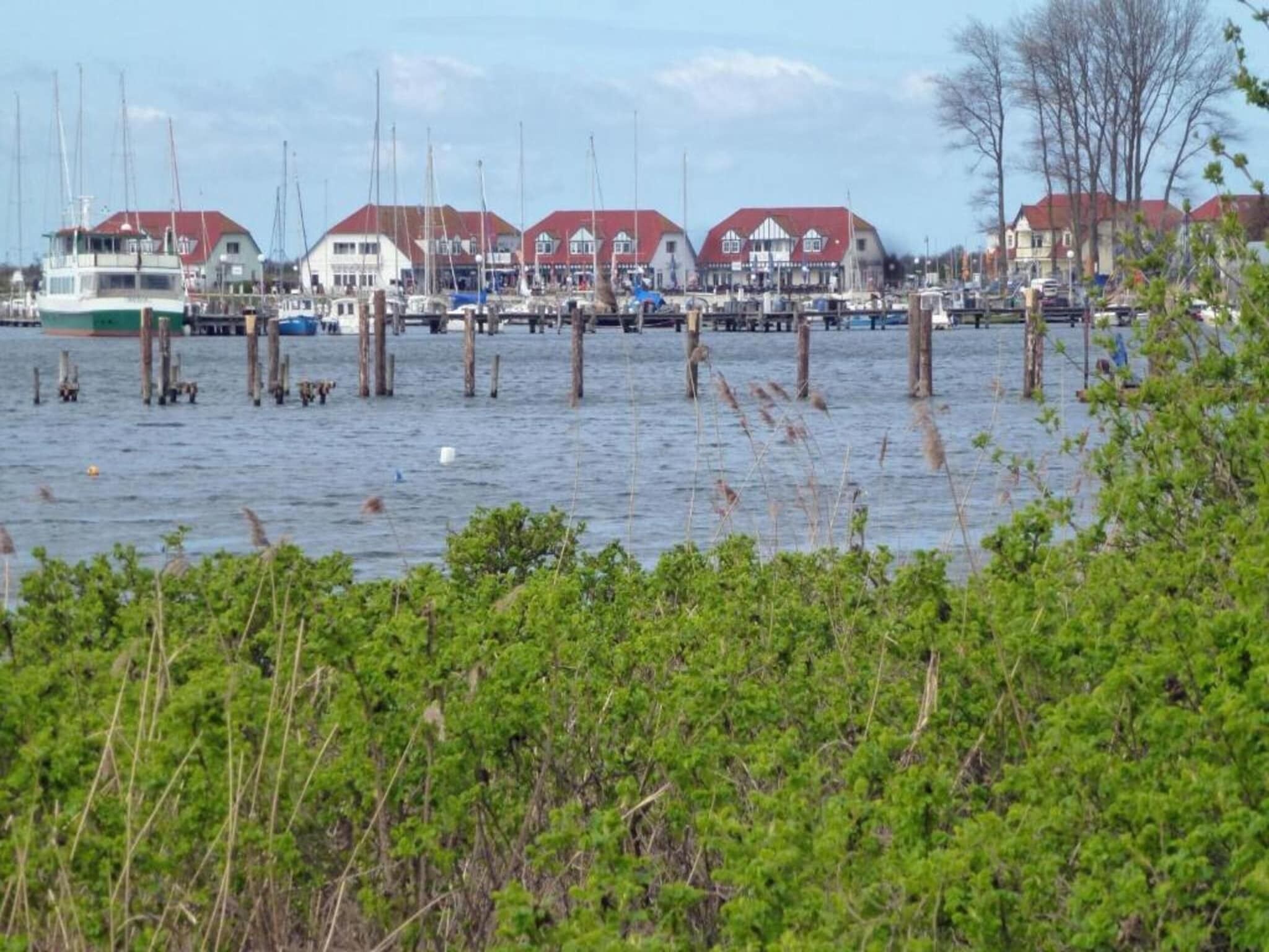 Een jachthaven met verschillende boten afgemeerd, houten pijlers in het water, en gebouwen met rode daken op de achtergrond.