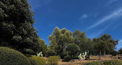 Villa with pool, between olive trees and sea - fantastic view!
