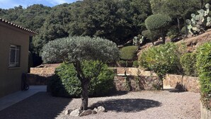 A courtyard with a gravel path, a tree, and a building with a window and a door. - Villa with pool, between olive trees and sea - fantastic view! (Cargèse)