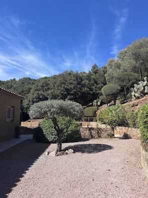 A courtyard with a gravel path, a tree, and a building with a window and a door. - Villa with pool, between olive trees and sea - fantastic view! (Cargèse)