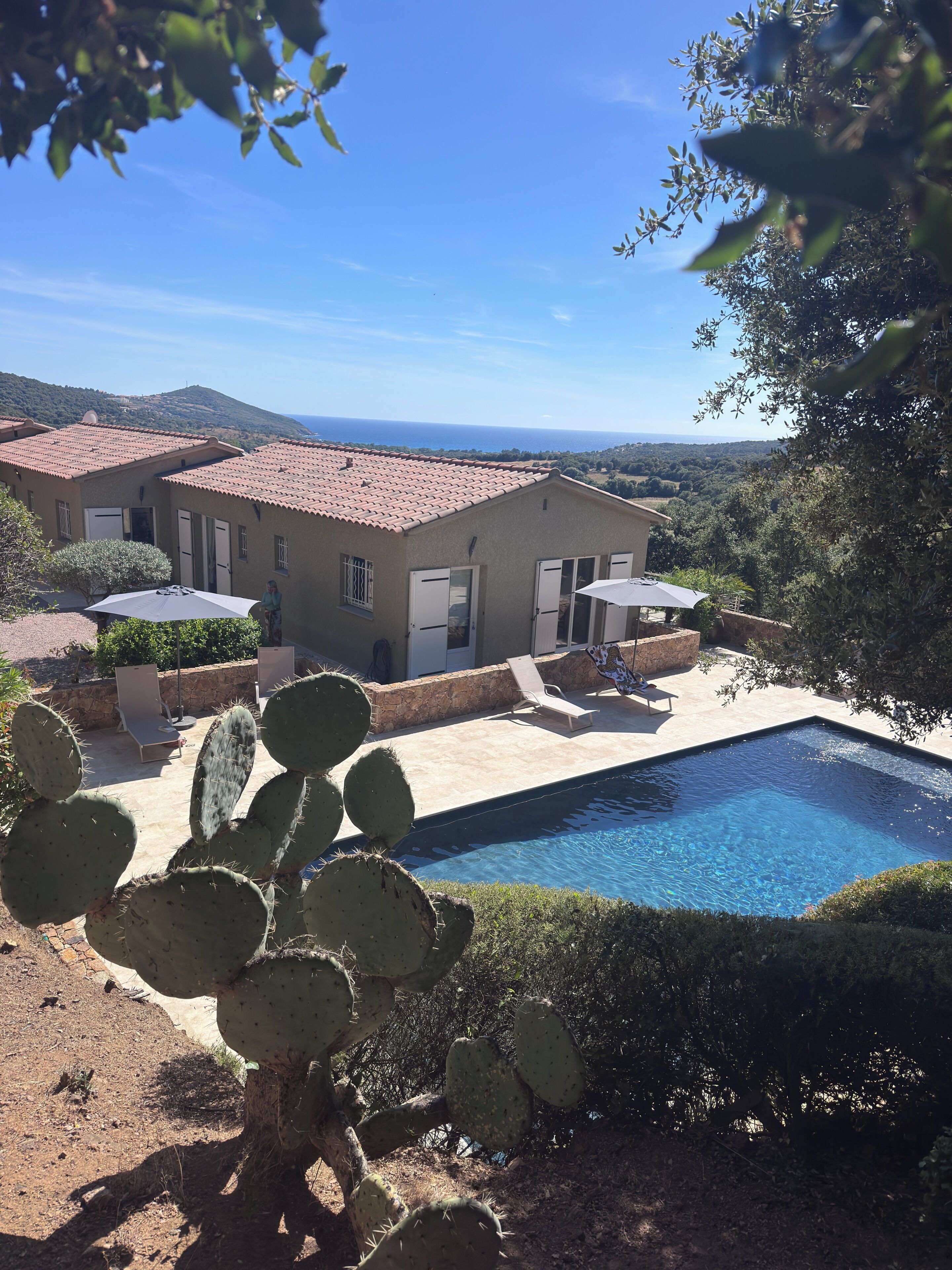 A villa with a swimming pool, cacti, and a view of the sea.