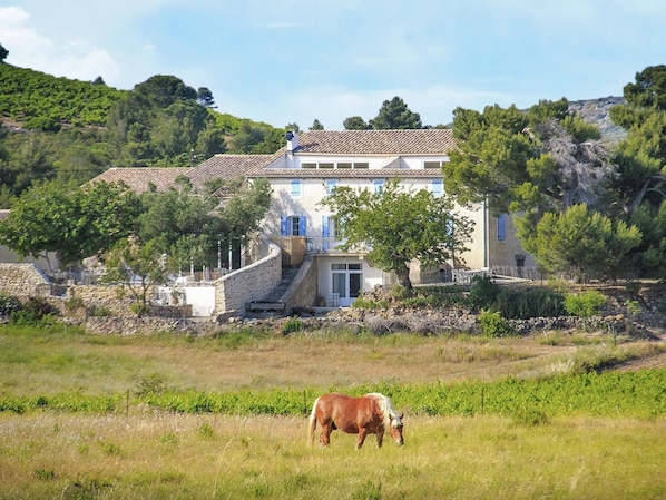 A two-story house with a stone wall and a tiled roof, surrounded by greenery and a field.