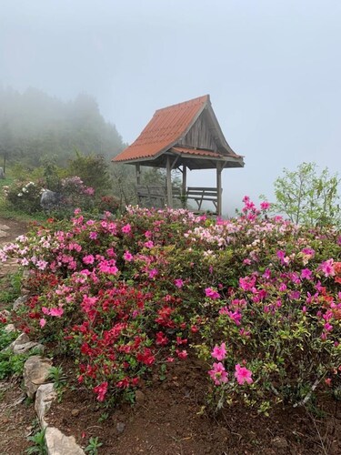 XALAKHAM PHOUKHOUN - Campsite