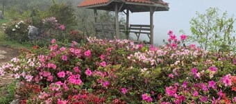 ザラカム・ポーコン - キャンプサイト