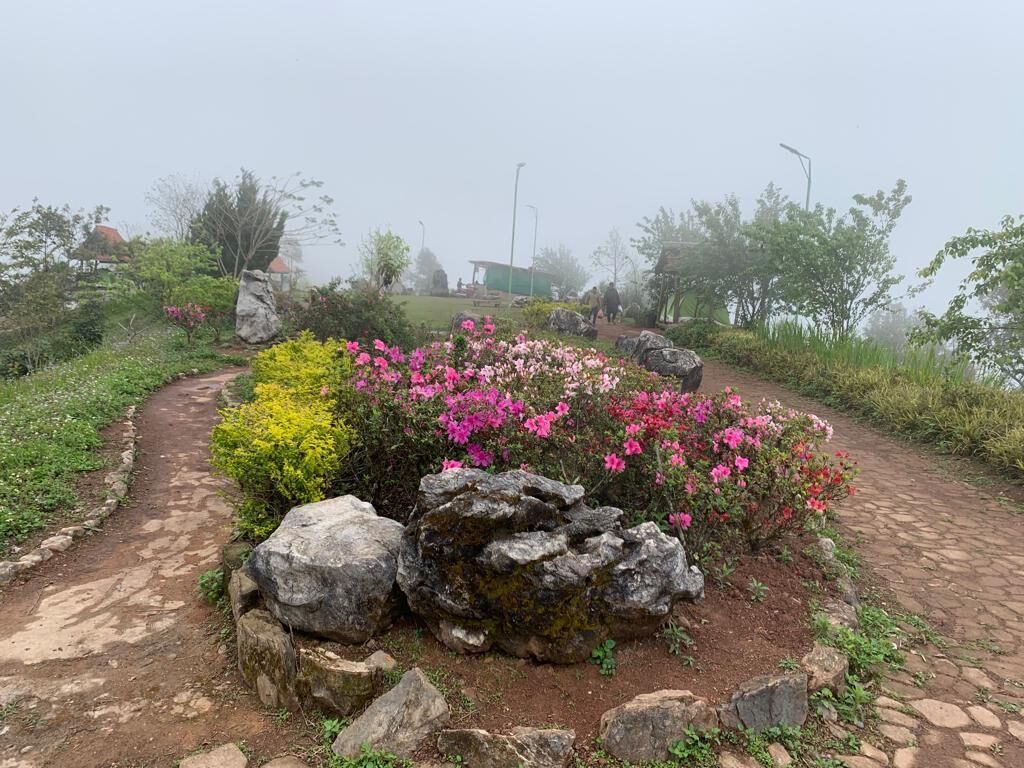 A garden pathway with rocks and flowering plants.