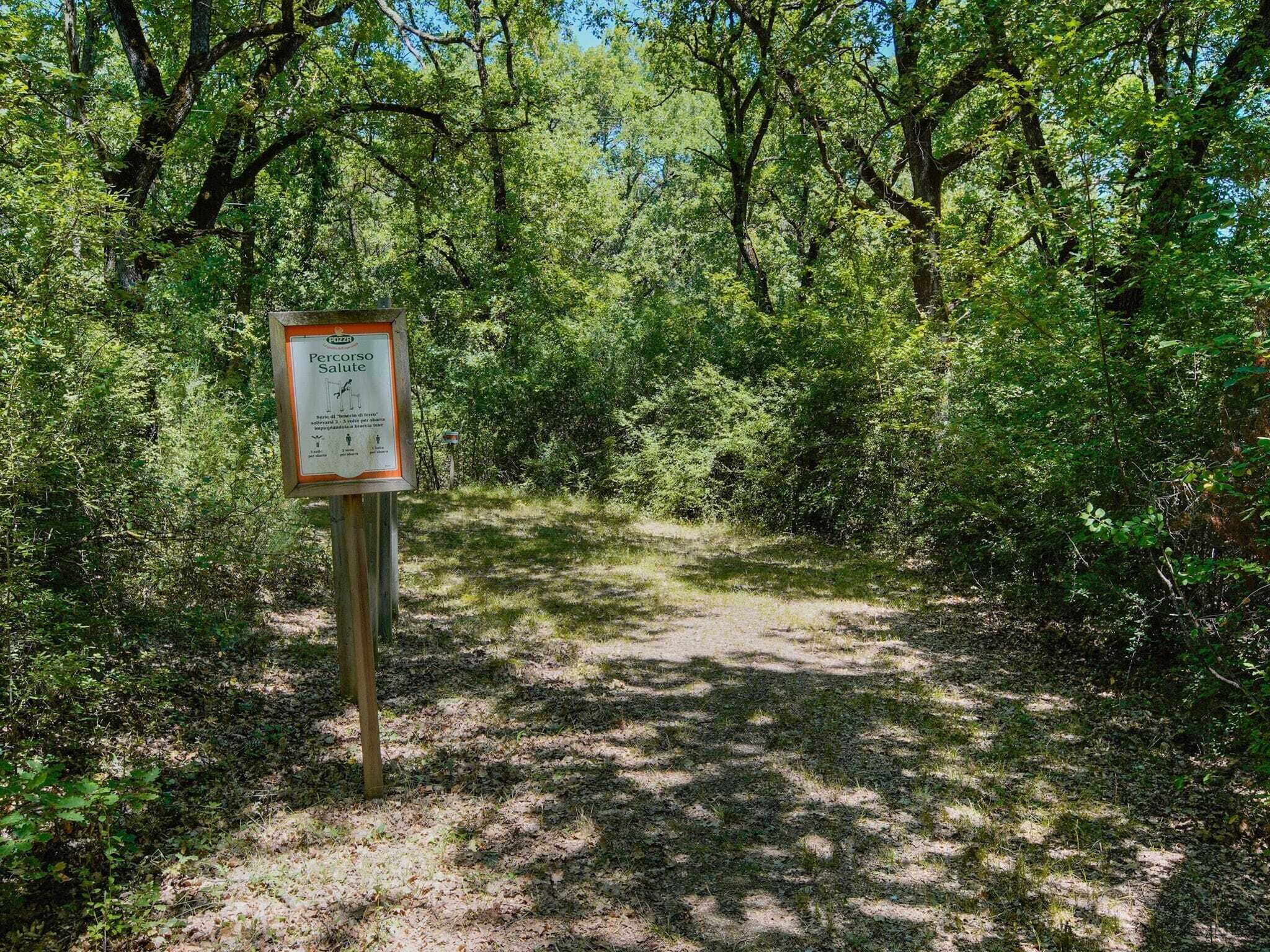 Ein Wegweiser in bewaldetem Gelände mit einem Feldweg.