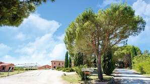 A rural property with a gravel driveway, a sign reading "Parchettificio," and a building with a red roof.
