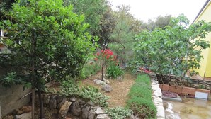 Un jardín con diversas plantas y un muro de piedra.