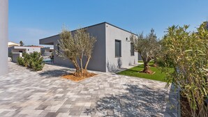 A modern building with a flat roof, a paved courtyard, and a small tree.