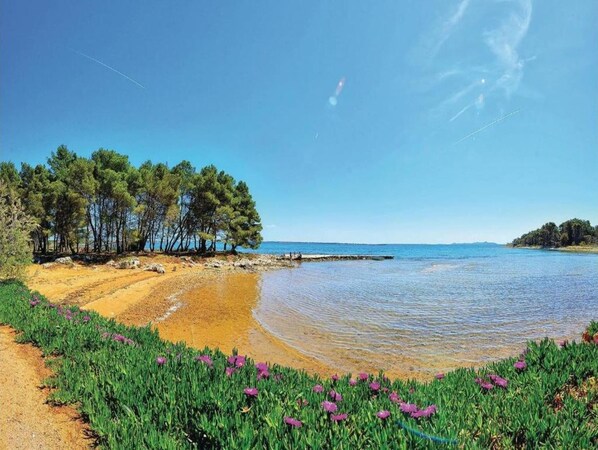 Playa en los alrededores 