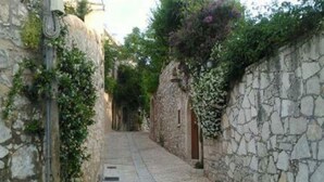 Una estrecha calle adoquinada bordeada por muros de piedra con vegetación.