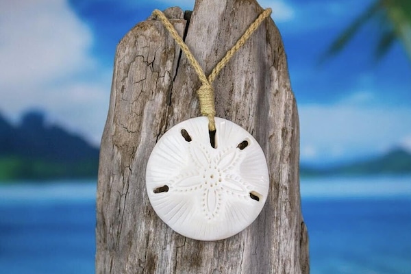 Welcome to the Beautiful "Sand Dollar"