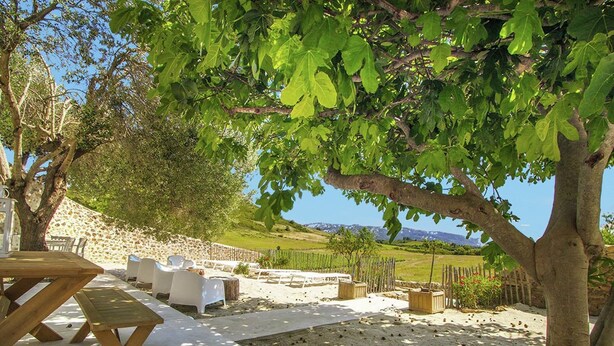 An outdoor seating area with a wooden table and white chairs, surrounded by trees and a stone wall. - Serene Family Escape (Villesèque-des-Corbières)