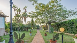 A garden pathway with potted cacti, palm trees, and a brick walkway.