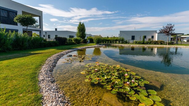 A modern building with a clear pond and lily pads in the foreground. - Classy Holiday Home in Lutzmannsburg (Zsira)