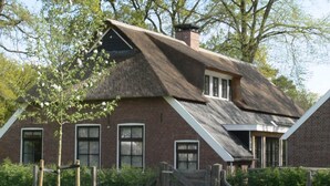 A traditional brick house with a steeply pitched roof and a thatched roof section. - Farmhouse Nijverdal near Sallandse Heuvelrug (Nijverdal)