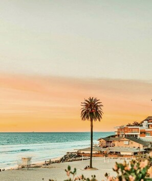 A beach with a palm tree, ocean, and buildings in the background.