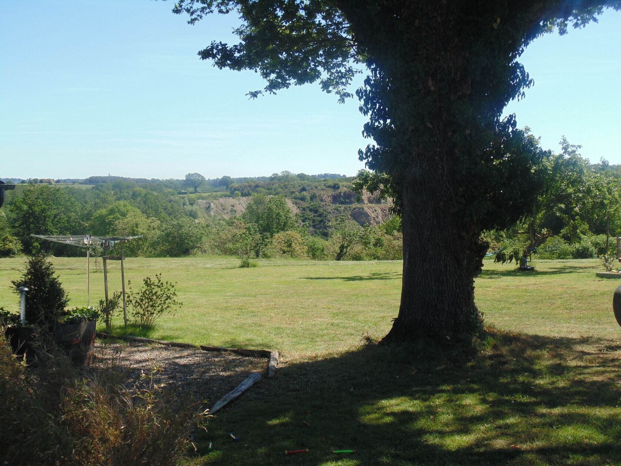 A large tree in a grassy field with a metal structure in the background.