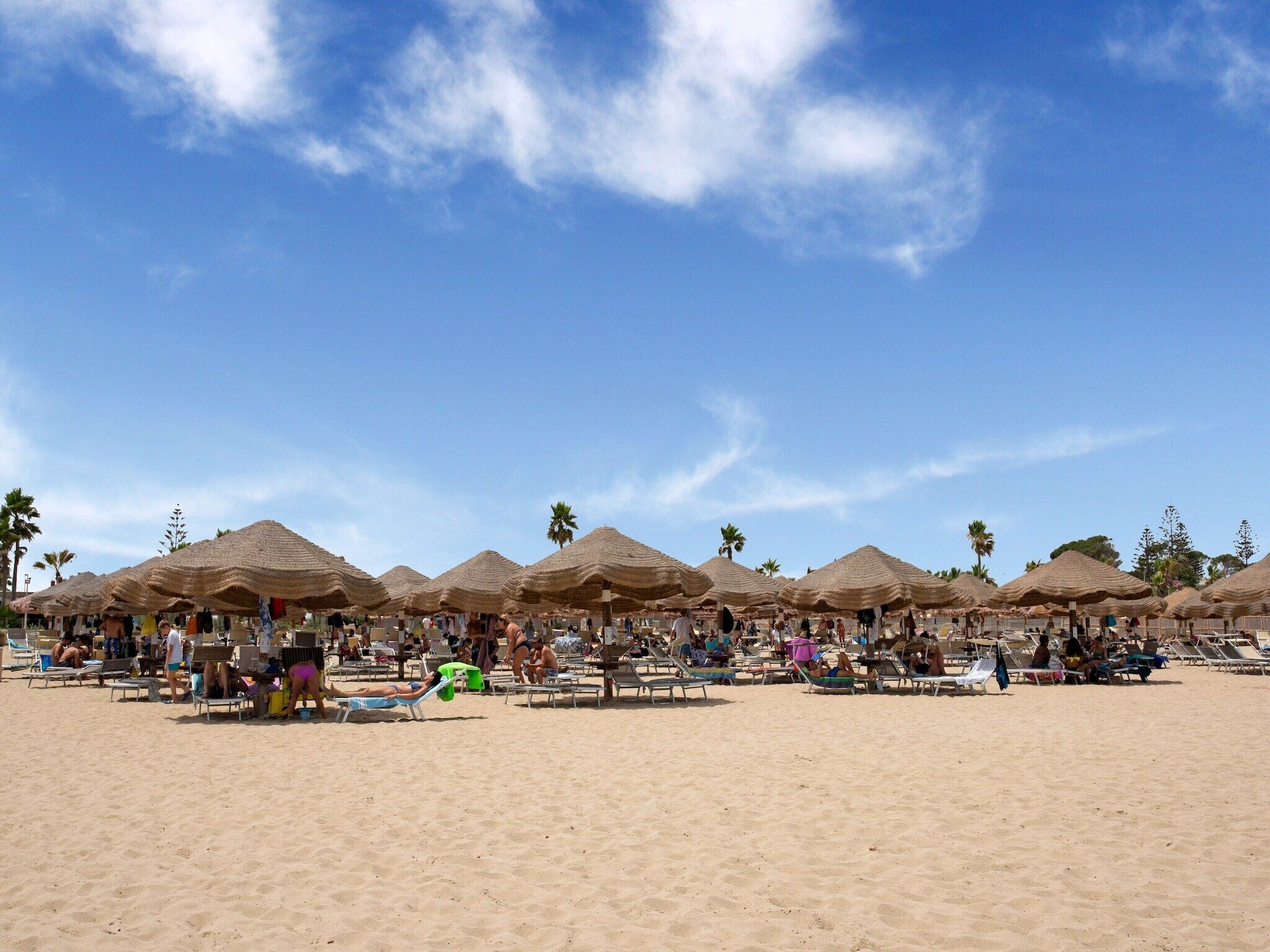 Ein Strand mit Reihen von Sonnenschirmen und Liegestühlen.