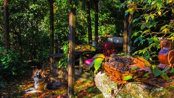 Jardines del alojamiento