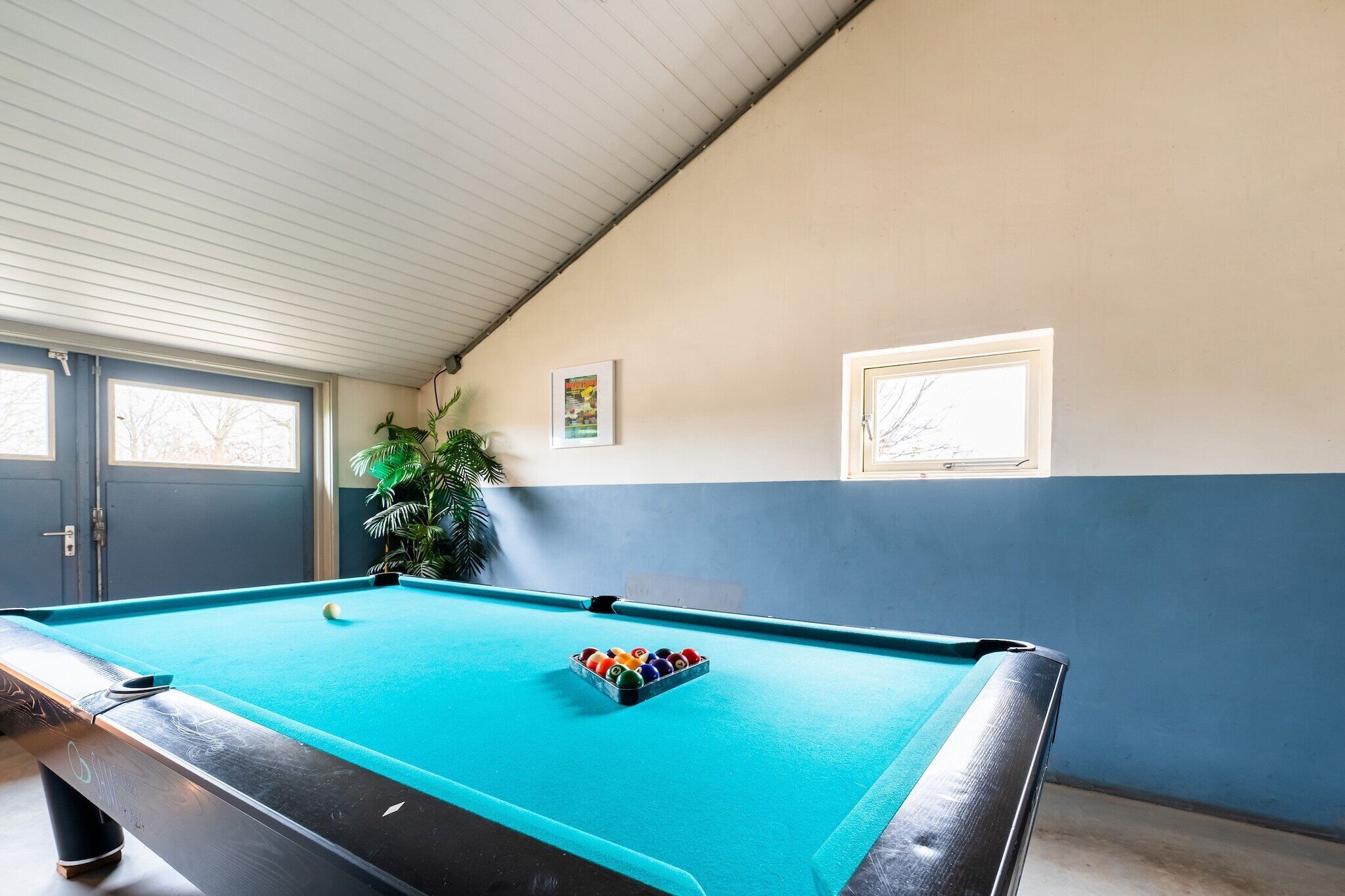 Een pooltafel met bal en biljarthoek, een potplant en een raam met uitzicht.