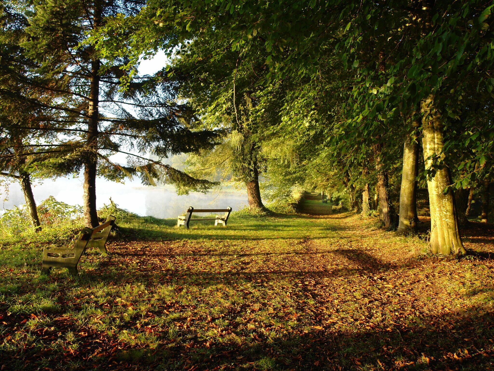 Un parc avec un banc et un sentier menant à un plan d’eau.
