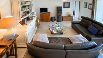 Télévision, cheminée, lecteur de DVD