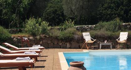 Villa in Orte mit privatem Pool