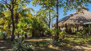 Una estructura con techo de paja y exterior blanco, rodeada de follaje tropical y un cielo despejado.