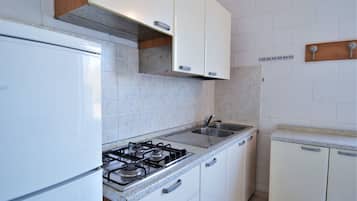 Fridge, oven, stovetop, cookware/dishes/utensils