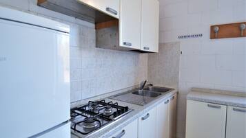 Fridge, oven, stovetop, cookware/dishes/utensils